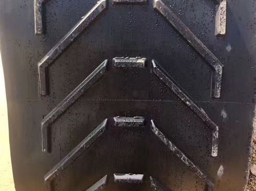 Nastro trasportatore a lisca di pesce - A44 - HeBei JunTong Machinery