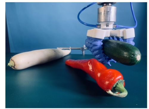 Pinza di presa pneumatica - SoftGripping - flessibile / per robot industriali / per l'industria agroalimentare