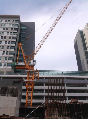 Gru fissa - CCTL220(D5523) - Dahan Technology Co., Ltd. - con braccio impennabile / a torre / per cantiere