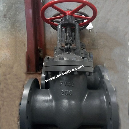 Valvola a saracinesca - GOST  - WENZHOU AEA VALVE CO., LTD. - con volante / per flangia / in acciaio inossidabile