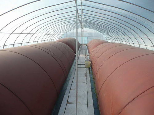 Digestore con copertura galleggiante - Hunan Along New Energy Technologies Co., Ltd.