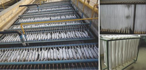 Bioreattore a membrana - Hunan Along New Energy Technologies Co., Ltd. - di processo / per trattamento di acque reflue / automatizzato
