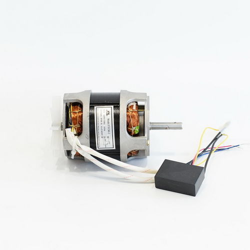 Motore ad induzione - YYC80-2 two ways - Zhejiang Aoer Electrical Appliance Company - monofase / 220 V / con condensatore