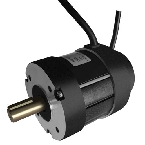 Motore brushless - Ningbo BG Motor Factory - DC / 36 V / per apparecchiatura medica