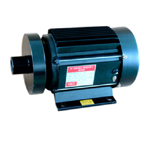 Motore asincrono - Ningbo BG Motor Factory - trifase / 220 V / per attrezzatura da palestra