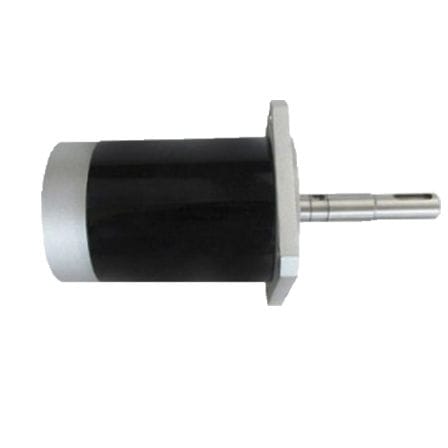 Motore a spazzola - Ningbo BG Motor Factory - DC / 48 V / su misura
