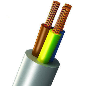 Cavo elettrico di alimentazione - Shanghai Bluewin Wire & Cable Co., Ltd. - isolato / in rame / per uso in interni ed esterni