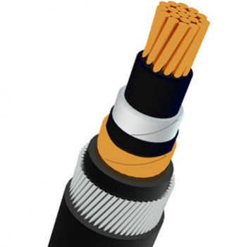 Cavo elettrico di alimentazione - Shanghai Bluewin Wire & Cable Co., Ltd. - isolato / blindato / cordato a trefoli
