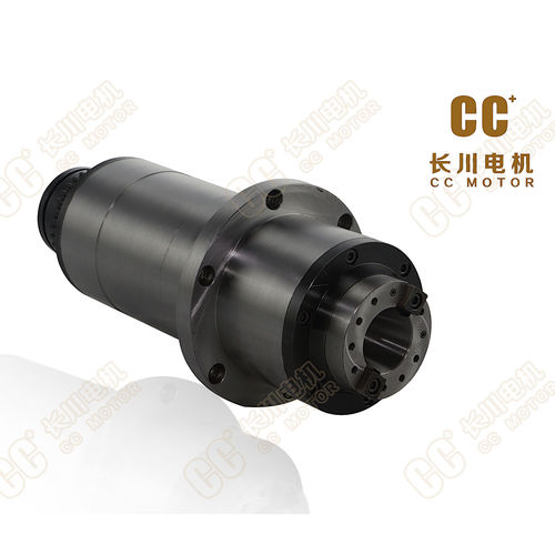 Elettromandrino di taglio - CJ8120S - Haiyang Changchuan Motor Co., Ltd. - di bilanciamento