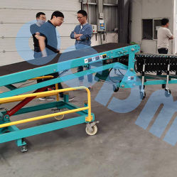 Trasportatore a nastro - HuZhou CCDM Logistics Company - da trasporto / per movimentazione / di carico
