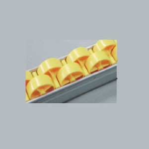 Catena di trasporto in plastica - HuZhou CCDM Logistics Company - con rulli