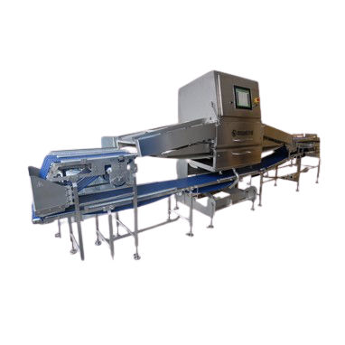 Sistema di scanner per rilevamento - FOTON-X 6040FP  - MSSPEKTRAL SAVUNMA SANAYİİ A.Ş. - a raggi X / per l'industria agroalimentare