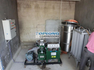 Compressore a diaframma - GL1-10/4-160 - Wenling Toplong Electrical & Mechanical Company - di azoto / con motore elettrico / fisso