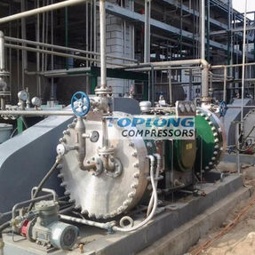 Compressore a diaframma - GZ2-5/150-700 - Wenling Toplong Electrical & Mechanical Company - di idrogeno / con motore elettrico / fisso