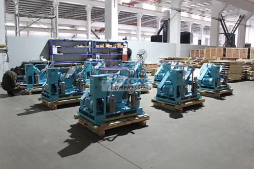 Compressore alternativo - ow-20/4-8 - Wenling Toplong Electrical & Mechanical Company - per ossigeno / con motore elettrico / fisso