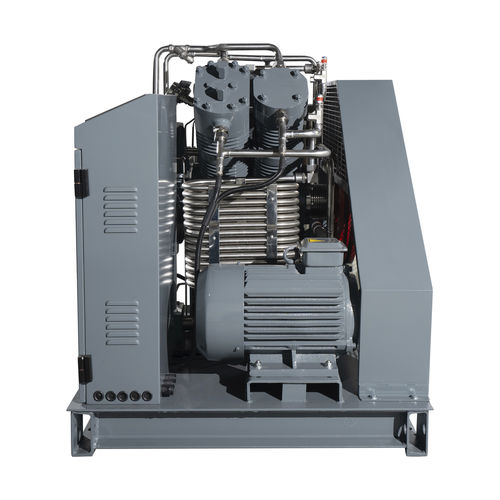Gruppo compressore di gas - G2VCW-10/0.2-200 - Wenling Toplong Electrical & Mechanical Company - a pistone / senza olio / stazionario