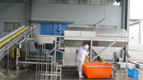 Lavatrice agroalimentare per mais - YXJ - SHAOXING WALLEY FOOD MACHINERY CO., LTD. - per piselli