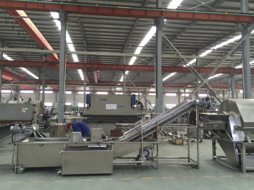 Lavatrice agroalimentare a nastro - QXJ-D - SHAOXING WALLEY FOOD MACHINERY CO., LTD. - per funghi / per cetrioli / per frutta