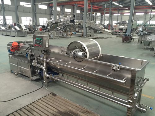 Lavatrice agroalimentare per funghi - WXJ - SHAOXING WALLEY FOOD MACHINERY CO., LTD. - per fragole