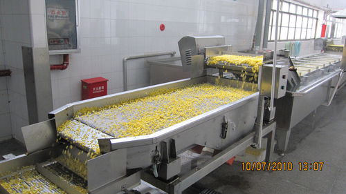 Asciugatrice a vibrazione - ZTS - SHAOXING WALLEY FOOD MACHINERY CO., LTD. - per verdura / con nastro trasportatore