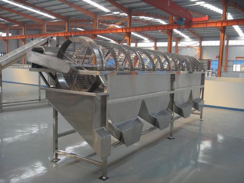 Calibratrice per funghi - OSJ-5 - SHAOXING WALLEY FOOD MACHINERY CO., LTD. - per litchi / per longan / per taro