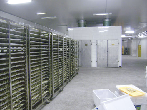 Tunnel di asciugatura per l'industria agroalimentare - HGS series - SHAOXING WALLEY FOOD MACHINERY CO., LTD.