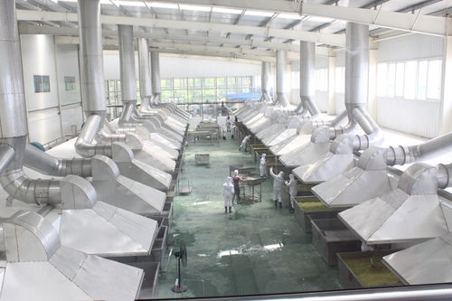 Essiccatore per verdura - HGX Series - SHAOXING WALLEY FOOD MACHINERY CO., LTD.