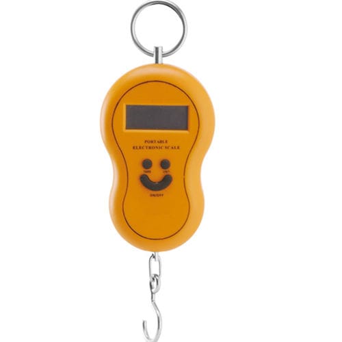 Bilancia elettronica - ZZDG series - Yongkang Zhezhong Weighing Apparatus Factory - commerciale / digitale / sospesa