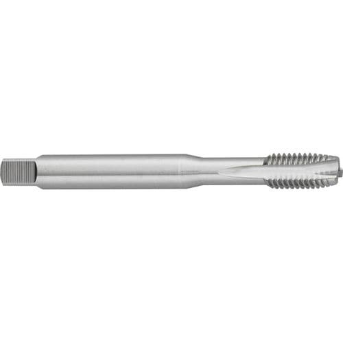 Maschio per fori passanti - M516 - Carmon - HSS/HSCO / per acciaio inossidabile / M3-M30
