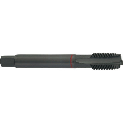 Maschio per fori passanti - G550 - Carmon - per fori ciechi / HSS/HSCO / per acciaio