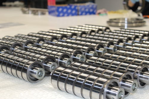 Cuscinetto a rulli cilindrici - Faro Industriale S.r.l. - radiale / in acciaio inossidabile / per motore