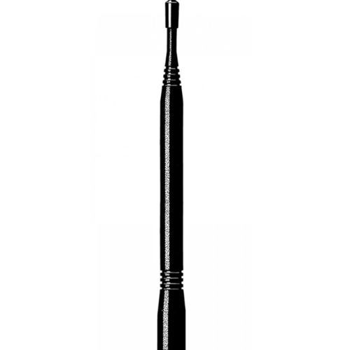 Antenna-ricevitore dual band - option r1 - E-CHRONOS - ad asta / per rete wireless
