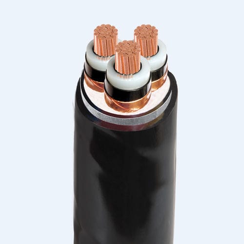 Cavo elettrico di alimentazione - CXV/DSTA – AXV/DSTA - Thinh Phat Cables Joint Stock Company - isolato / blindato / circolare