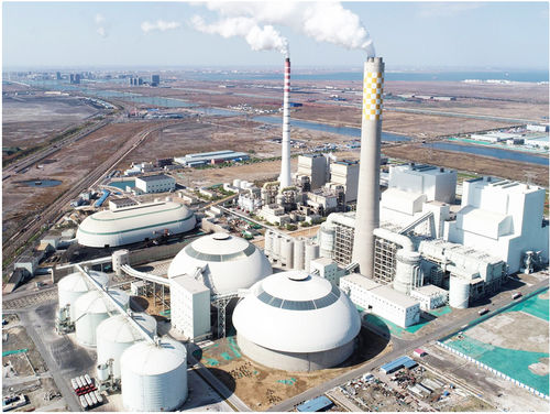 Precipitatore elettrostatico per gas di combustione - Zhejiang Feida Environmental Science & Technology
