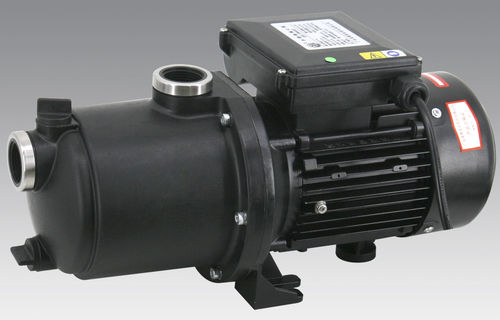 Pompa a rotore - DBM series - Guangdong LingXiao Pump Industry Co., Ltd. - ad acqua / con motore elettrico / autoadescante