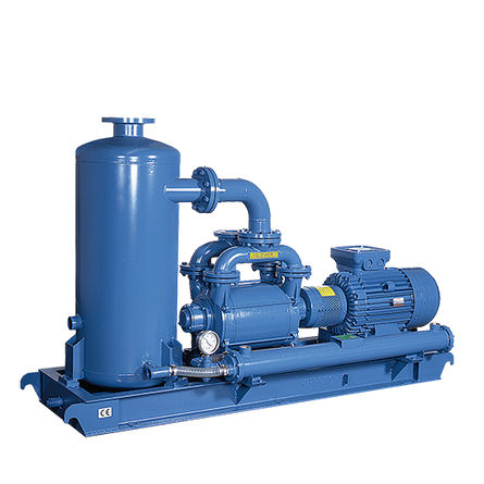 Gruppo da vuoto con pompa ad anello liquido - KRVS series - ROBUSCHI - per l'industria chimica / compatto