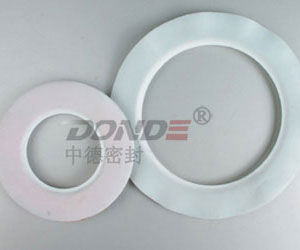 Guarnizione in grafite - ZD-G1700 - cixi zonde sealing and gasket.co.,Ltd - in gomma / PTFE / in PVC