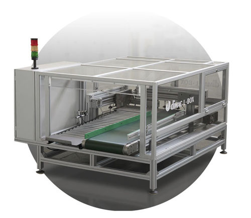 Trasportatore a nastro -  L-box - Dimac Srl - lineare / da trasporto / per cartoni