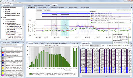 Software di analisi - Auditor - SINUS - di misura / di post elaborazione / di processo