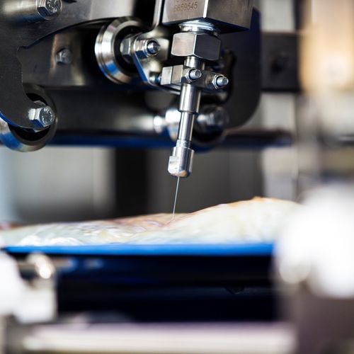 Estrattore di spine automatico - FleXicut - JBT Corporation