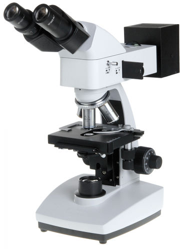 Microscopio ottico - B+ series - Euromex - da ricerca / dritto / binoculare