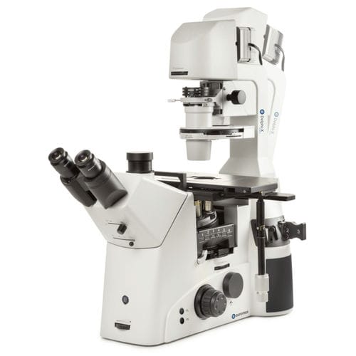 Microscopio ottico - Delphi-X Inverso series - Euromex - industriale / invertito / trinoculare