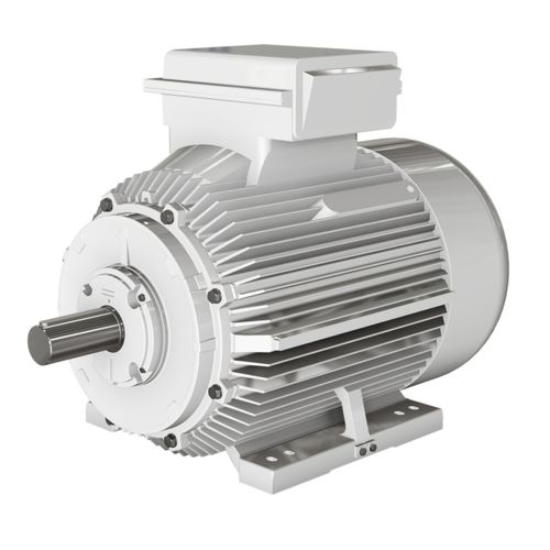 Motore asincrono - BD series - Wolong Electric Group - monofase / con carcassa in ghisa / IP55