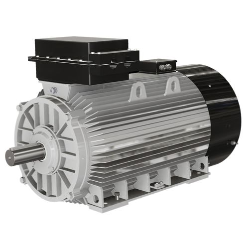 Motore asincrono - ZK series - Wolong Electric Group - trifase / IP55 / IP65