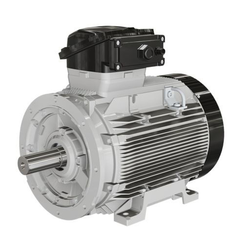 Motore resistente alle fiamme - W-EF series - Wolong Electric Group - asincrono / IP55 / IP65