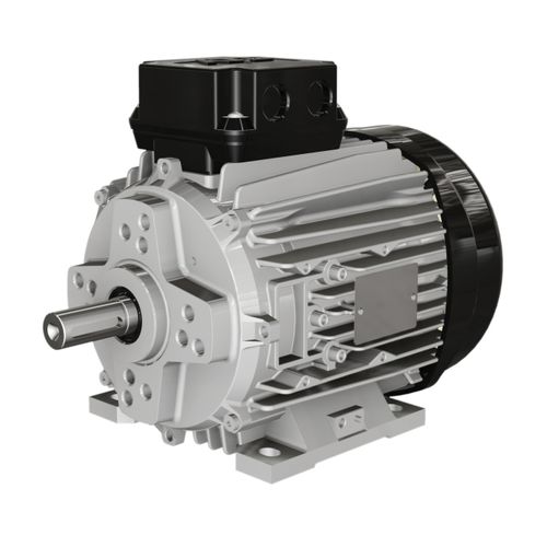 Motore sincrono - M series - Wolong Electric Group - trifase / 400 V / IP55
