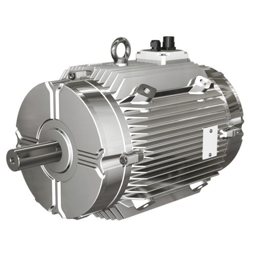 Motore controllato tramite variatore di frequenza - W FUMEX® series  - Wolong Electric Group - asincrono / trifase / con carcassa in ghisa