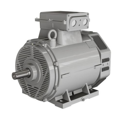 Motore asincrono - BN series - Wolong Electric Group - trifase / con carcassa in ghisa / IP23
