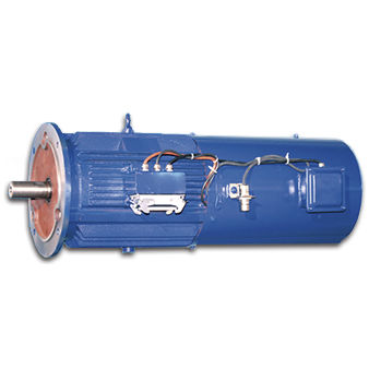 Motore asincrono - Jiang Su Weiteli Motor Co.,Ltd - IP56 / per sistema di orientamento di turbina eolica / ad alto rendimento