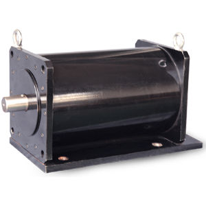 Motore ad induzione - WTGSDJ series - Jiang Su Weiteli Motor Co.,Ltd - raffreddato ad acqua / per veicolo elettrico / RS-485